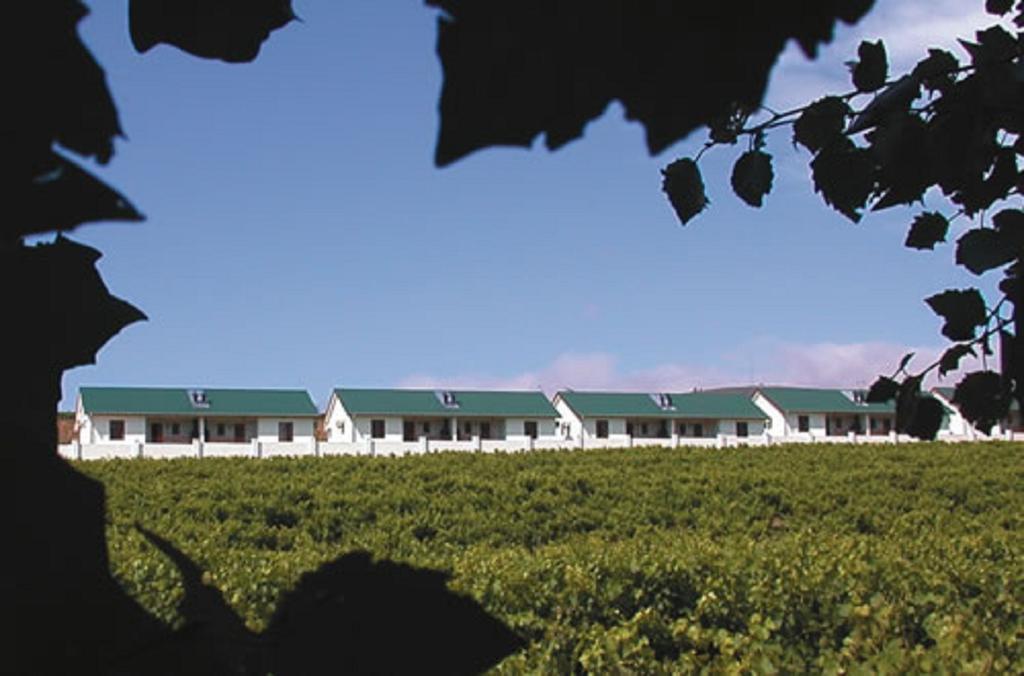 D'Aria Guest Cottages دوربانفيل المظهر الخارجي الصورة